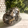 Mica and Golden Pyrite Specimen, sparkling mineral with metallic luster. A perfect geological collector's item