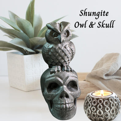 Shungite Stone Skull And Owl Carving