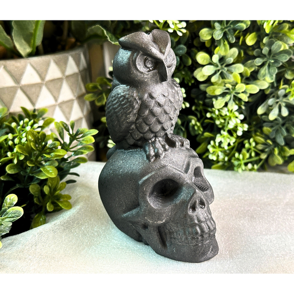 Shungite Stone Skull And Owl Carving