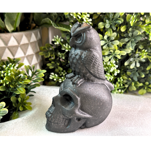 Shungite Stone Skull And Owl Carving