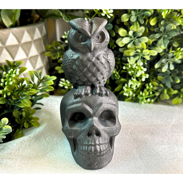 Shungite Stone Skull And Owl Carving