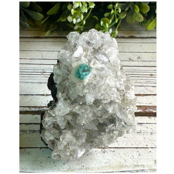 Radiant Apophyllite Crystal Cluster