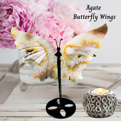 1.92 Lb Yellow & White Agate Butterfly Wings